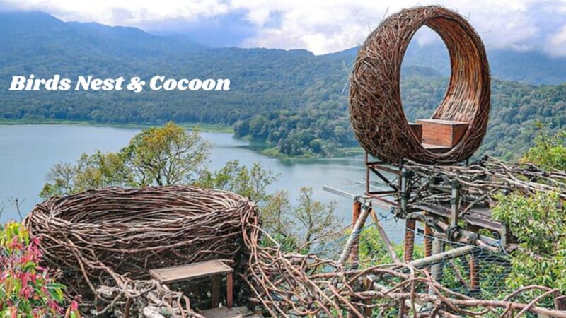 North Bali: Full Day INSTAGRAM HIGHLIGHTS Tour - Important Information