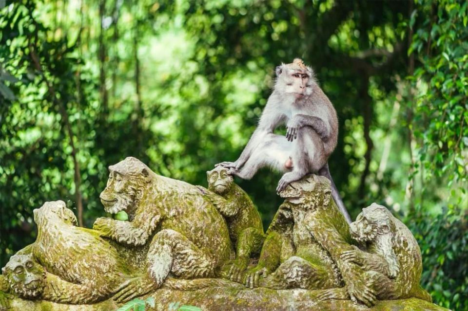 North Bali : Lanscape Hunter Best Instagram Private Tour - Key Points