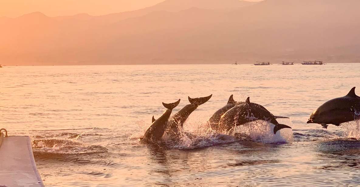 North Bali: Lovina Dolphins and Ulun Danu Temple - Itinerary Overview