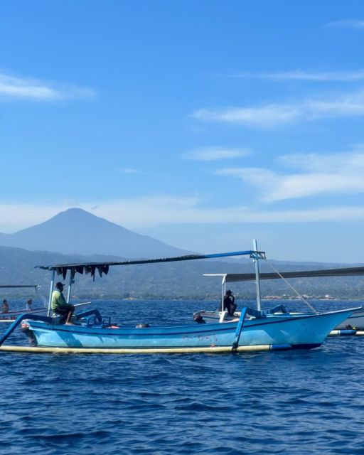North Bali: Lovina Dolphins and Ulun Danu Temple - Inclusions and Exclusions