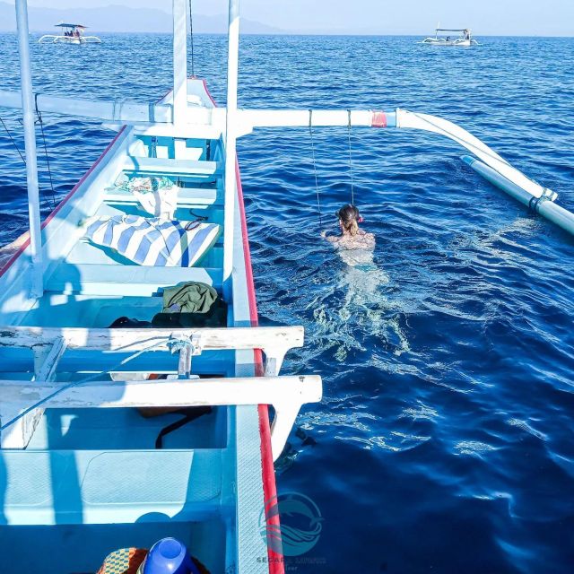North Bali: Lovina Dolphins and Ulun Danu Temple - Booking and Cancellation