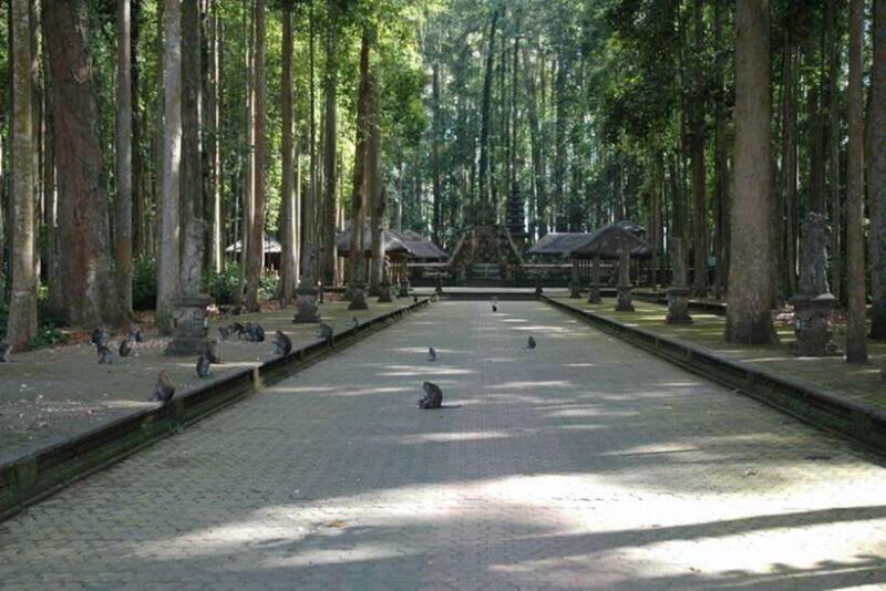 North Bali: Monkey Forest -Waterfall- Rice Terrace-Ulun Danu - An In-Depth Look at the North Bali Tour
