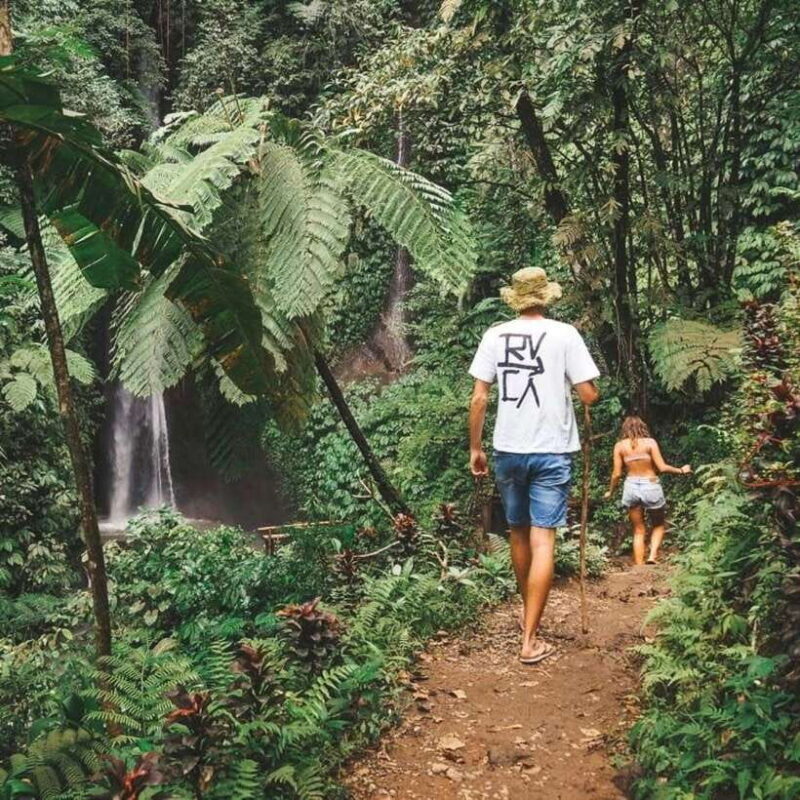 North Bali: Monkey Forest -Waterfall- Rice Terrace-Ulun Danu - Who Will Love This Tour?