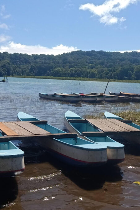 North Bali: Munduk Twin Lake Trek, Temple & Waterfall Tour - Additional Information