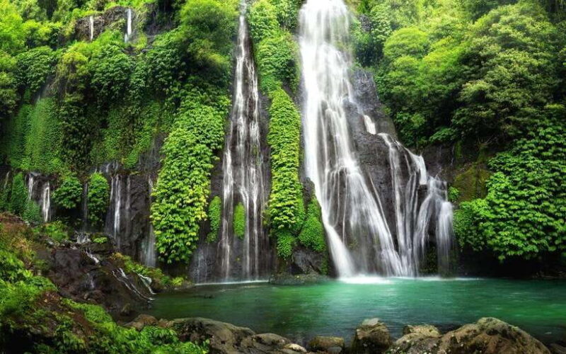 North Bali Nature Escape: Rice Terraces, Temples & Waterfall - Who Will Love This Tour?