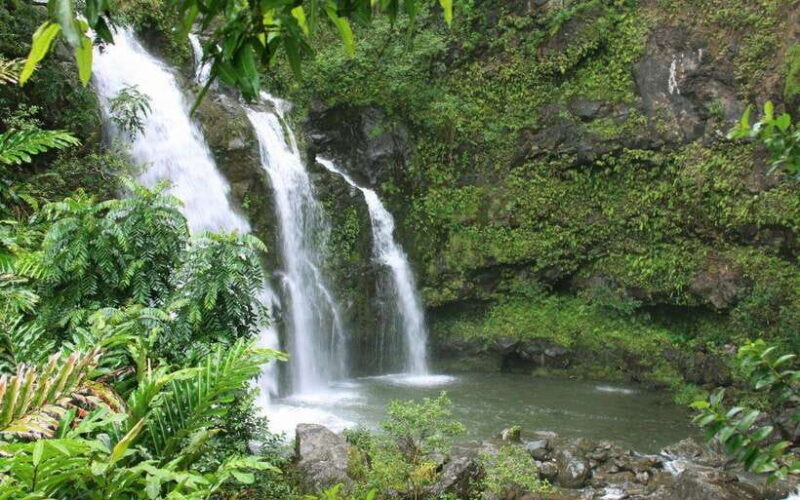 North Bali Nature Escape: Rice Terraces, Temples & Waterfall - Final Thoughts