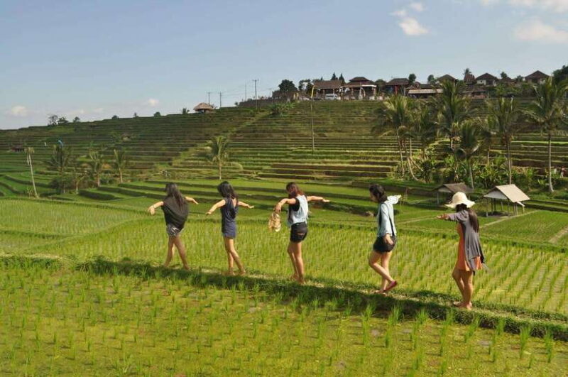 North Bali: Private Day Tour with Banyumala Waterfall - Practicalities and Value