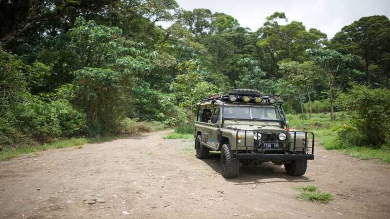 North Bali: Private Guided 4x4 Jeep, Cycling & Hot Spring - Who Should Consider This Tour?