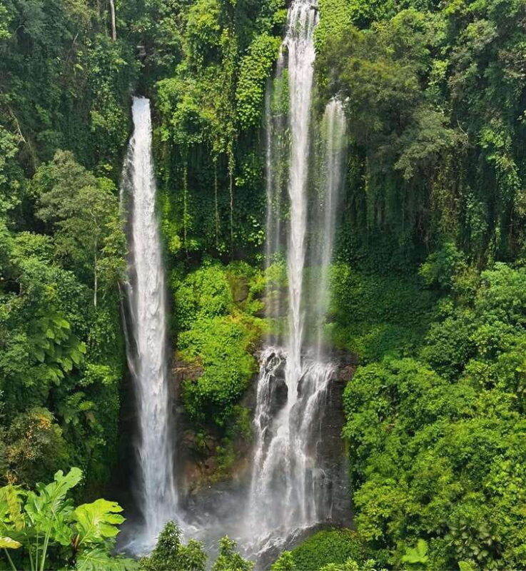 North Bali: Sekumpul and Banyumala Waterfalls & Rice Terrace - An In-Depth Look at the North Bali Waterfalls & Rice Terraces Tour