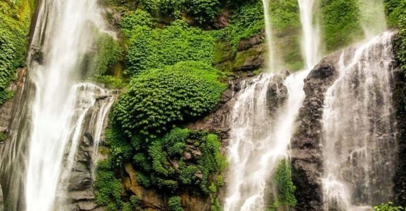 North Bali: Sekumpul Waterfall / Banyumala Waterfall Tour - Good To Know