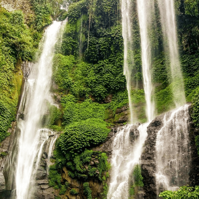 North Bali: Sekumpul Waterfall / Banyumala Waterfall Tour - Experience Highlights