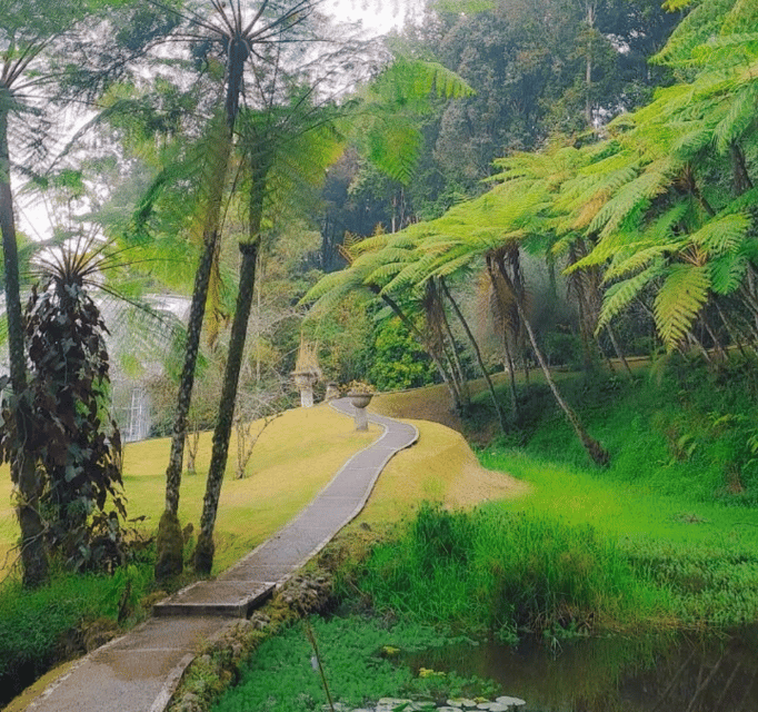 North Bali: Sekumpul Waterfall / Banyumala Waterfall Tour - Inclusions and Exclusions