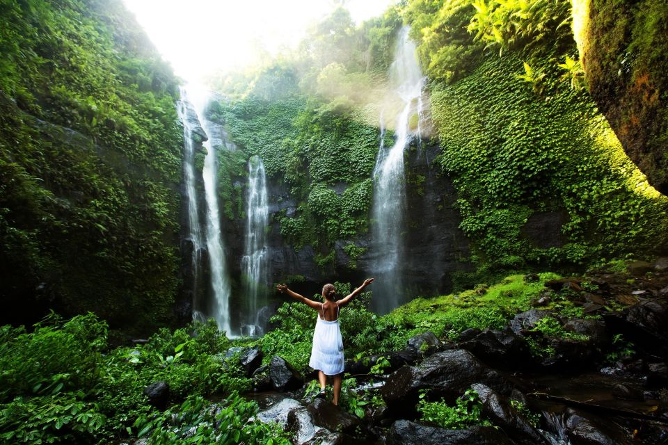 North Bali: Sekumpul Waterfalls and Ulun Danu Temple Tour - Itinerary