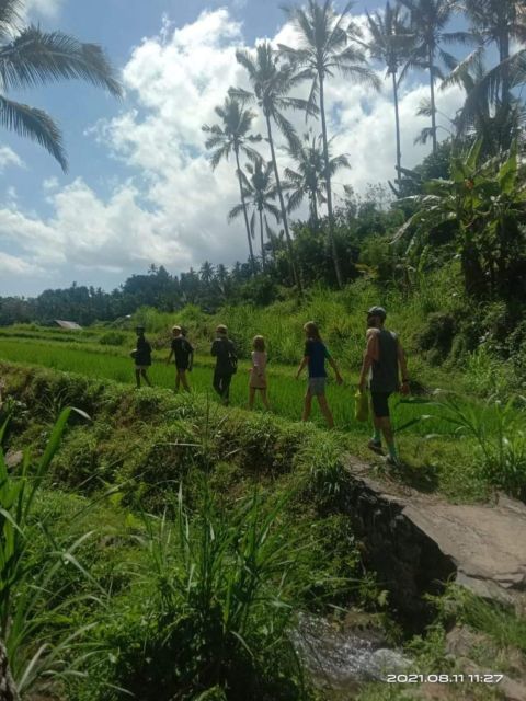 North Bali : Sunrise at Ulundanu Temple & Sekumpul Waterfall - Tour Duration