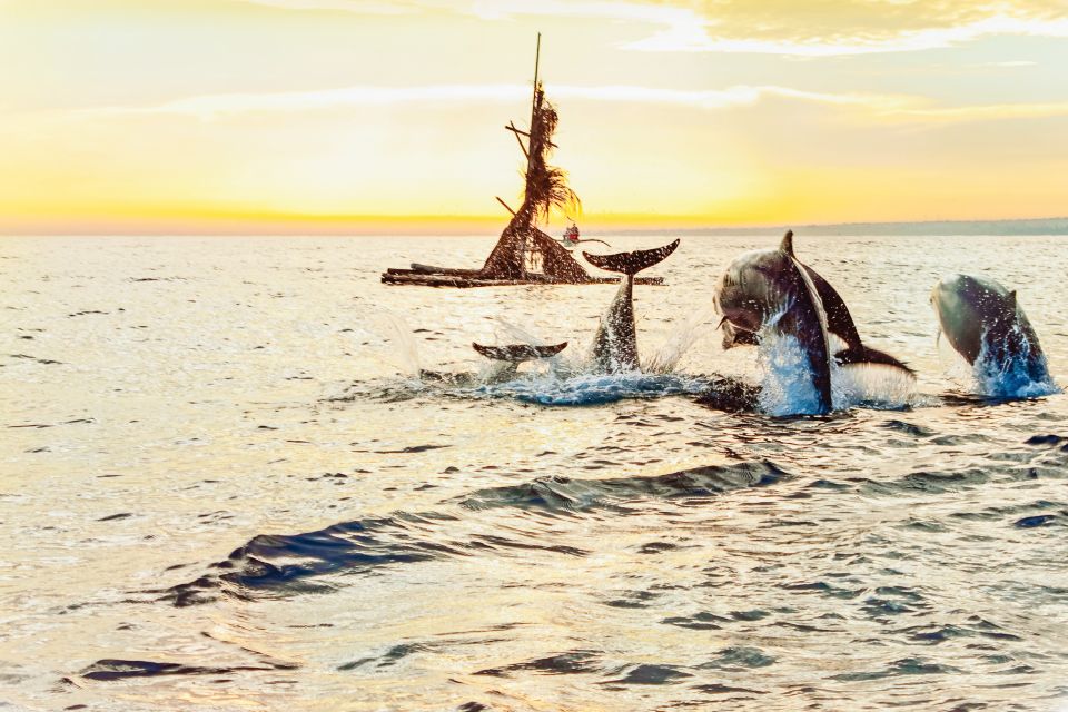North Bali: Sunrise Tour With Dolphins, Waterfalls & Temples - Key Points