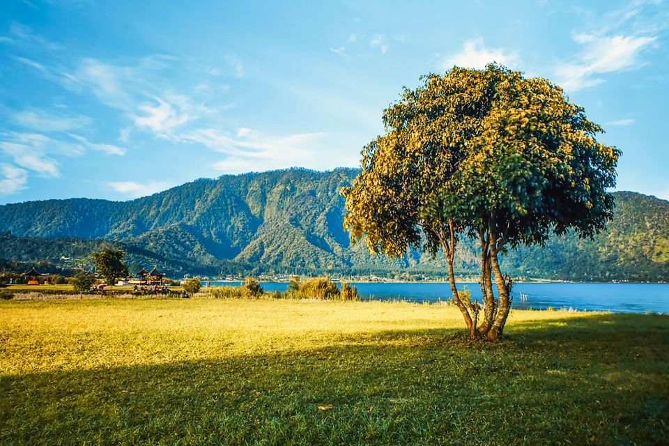 North Bali: Sunrise Tour With Dolphins, Waterfalls & Temples - Witnessing Dolphin Sightings