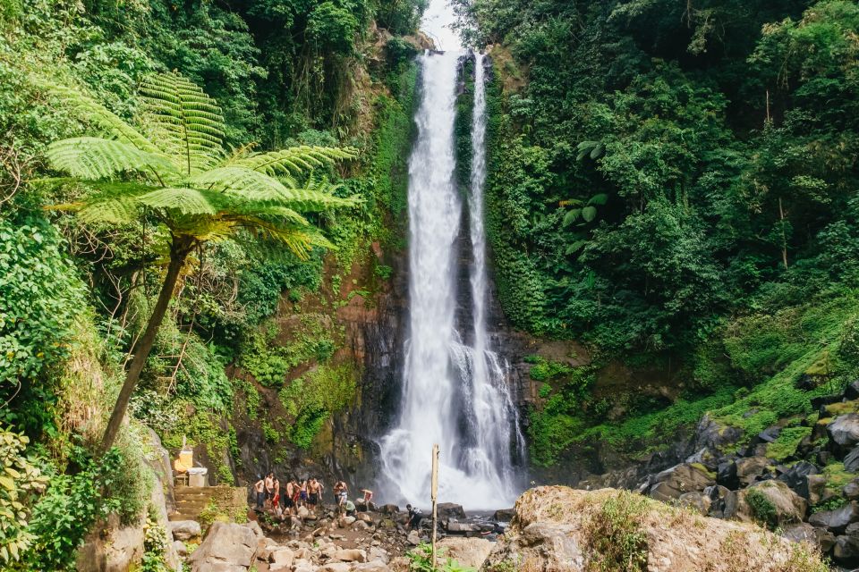 North Bali: Sunrise Tour With Dolphins, Waterfalls & Temples - Discovering Gitgit Waterfall