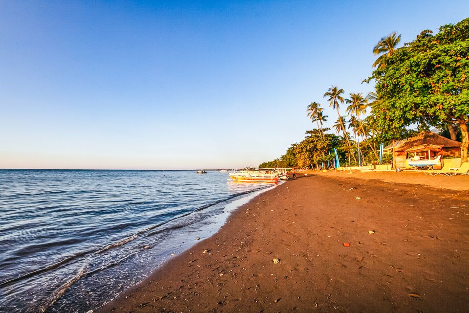 North Bali: Sunrise Tour With Dolphins, Waterfalls & Temples - Pricing and Savings