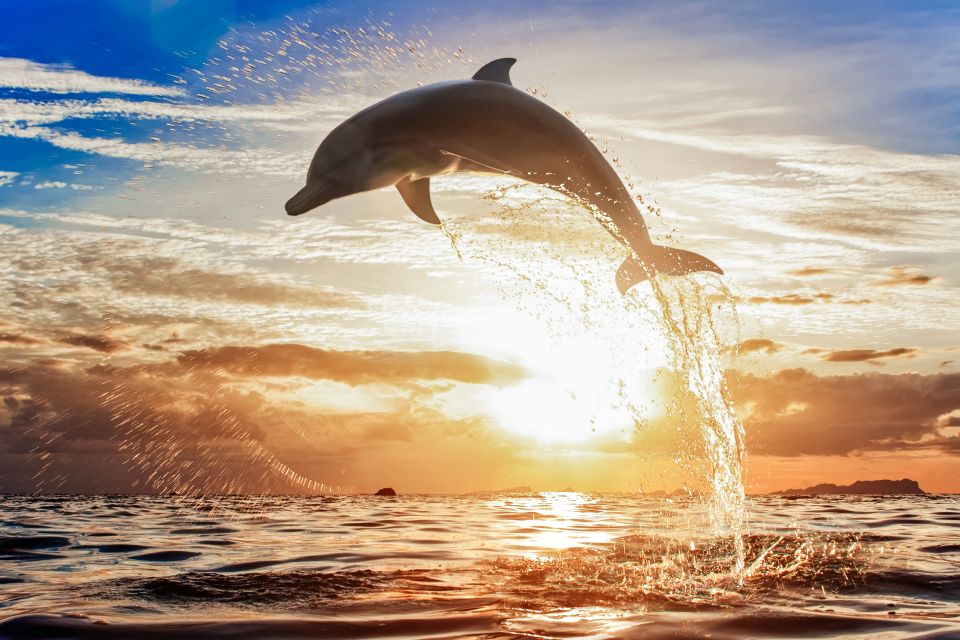 North Bali: Sunrise Tour With Dolphins, Waterfalls & Temples - Frequently Asked Questions
