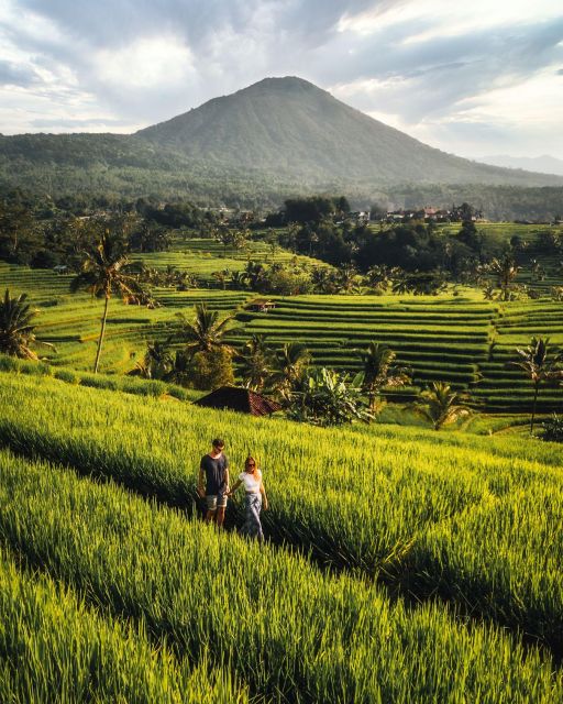 North Bali: Tanah Lot, Ulun Danu, Banyumala, Jatiluwih - Ulun Danu Bratan Temple