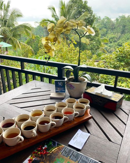 North Bali: Tanah Lot, Ulun Danu, Banyumala, Jatiluwih - Inclusions and Exclusions