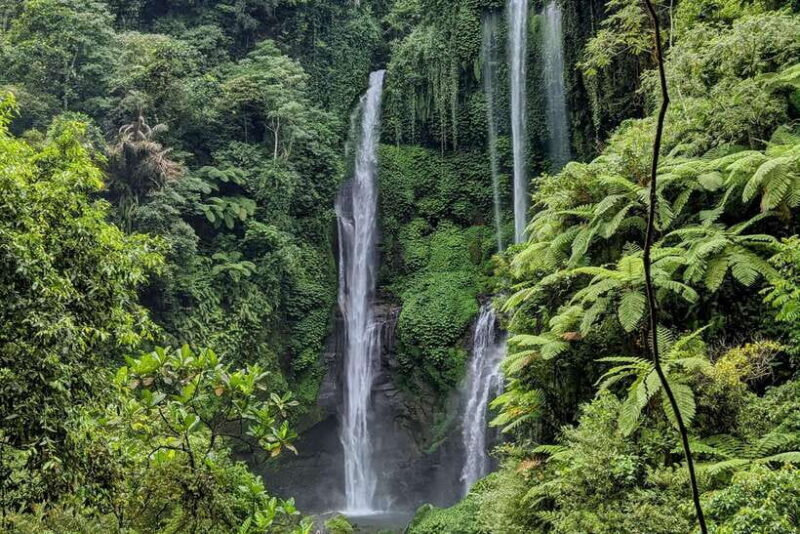 North Bali-The Hidden Paradise - An In-Depth Look at the Tour