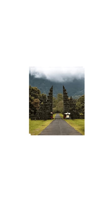 North Bali: Walking on the expanse of jati luwih rice fields - Why This Tour Offers Good Value