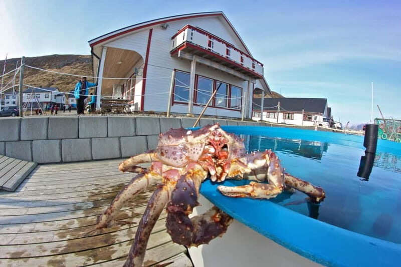 North Cape and King Crab Tour with Sámi Camp Tour - The Sum Up: Is This Tour Right for You?