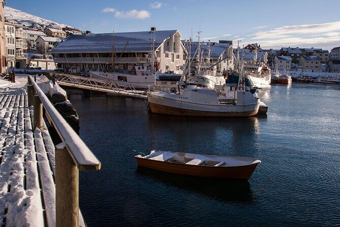 North Cape Winter Tour - The Journey to the Arctic’s Edge