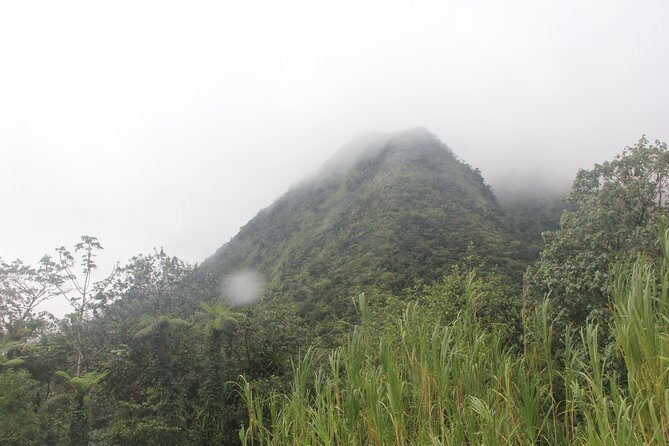 North Caribbean Tour in Martinique - Exploring Martinique’s North Caribbean: What You Can Expect