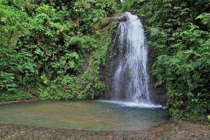 North Caribbean Tour in Martinique - Fonds Saint Denis – A Refreshing Swim