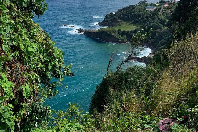 North Coast Dominica Sightseeing Day Tour - The Practical Details