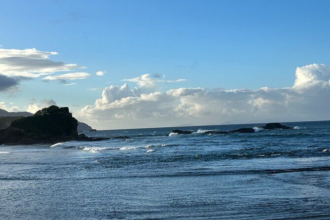 North Coast Dominica Sightseeing Day Tour - Who Should Consider This Tour?