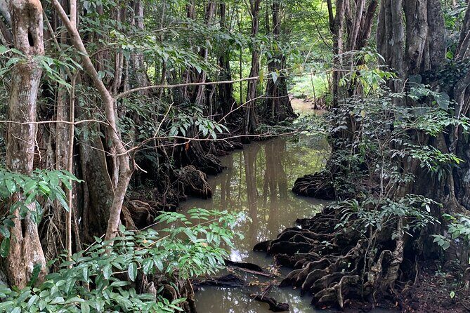 North Coast Dominica Sightseeing Day Tour - Final Thoughts