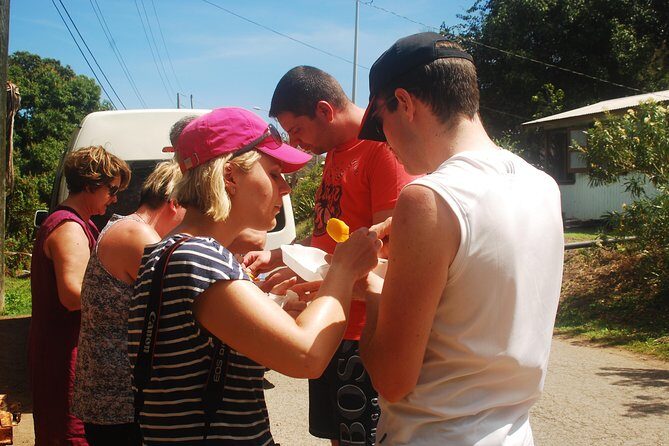 North Coast Tour - What to Expect from the North Coast Tour