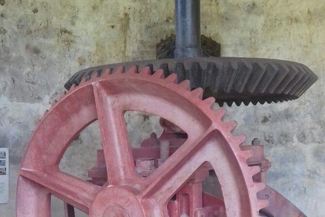 North Coast Tour - Pricing and Value