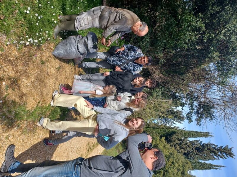 North Corfu Olive Tour With Olive Oil Tasting and Meze - Experience Highlights