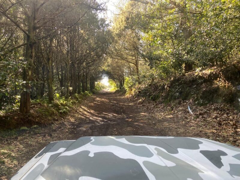 North-East Madeira Jeep Safari Tour for the Nature Lovers - FAQ