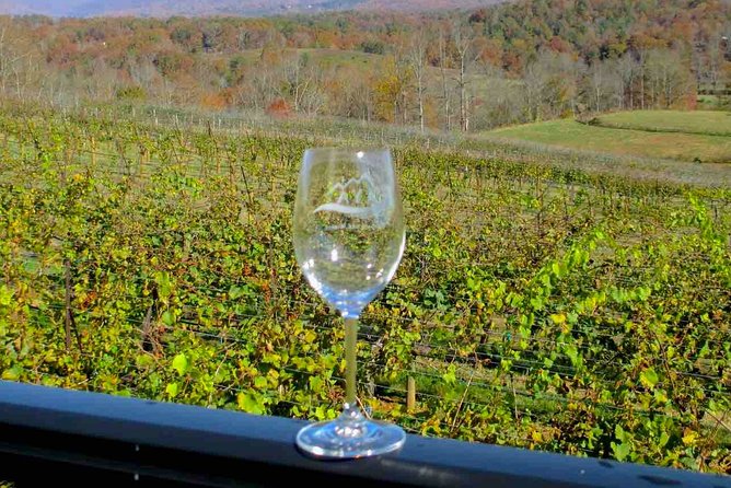 North Georgia Wine Country Tour From Atlanta - Traveler Testimonials