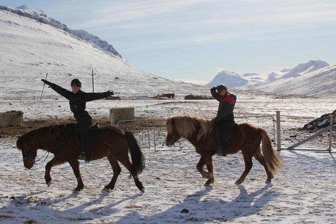 North Iceland: Horseback Riding Tour  - Akureyri - Booking and Cancellation Details