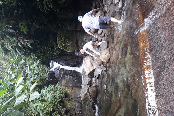 North Island Tour And Martinique Best Secret - The Sum Up