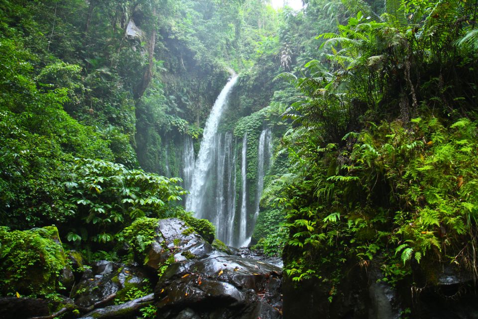 North Lombok: Sendang Gile Waterfall & Senaru Village Tour - Highlights of the Tour