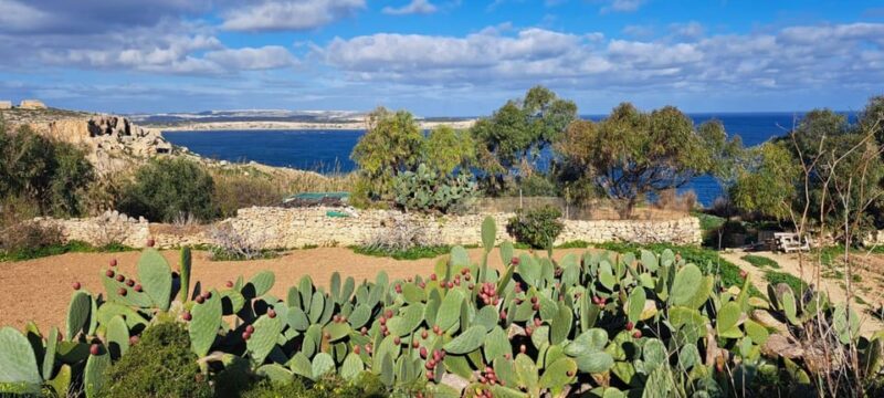 North Malta: Quad Bike Tour With Scenic Land, Sea & Swimming - Essential Information for Travelers