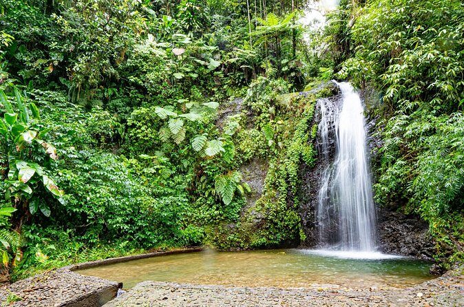 North Part Of Martinique Island Private Tour - Who Should Consider This Tour?