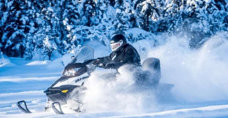 North Pole Alaska: Guided Fairbanks Snowmobile Tour - Key Points