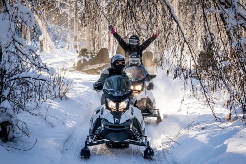 North Pole Alaska: Guided Fairbanks Snowmobile Tour - Ending the Tour