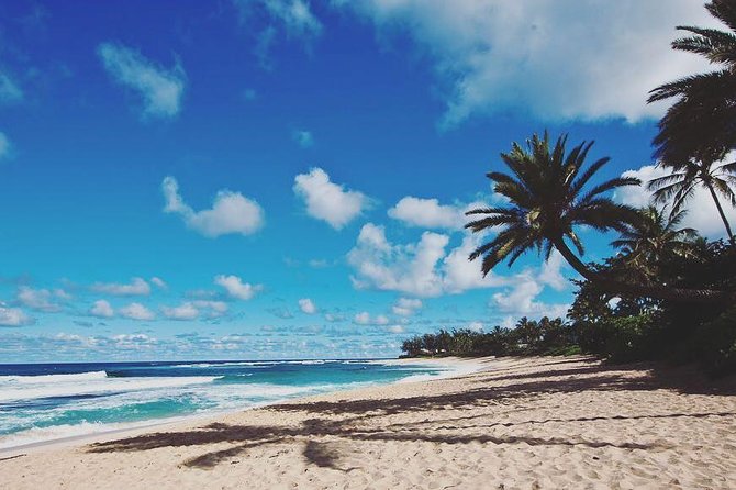 North Shore Circle Island Adventure Including Snorkeling With the Turtles - Tour Highlights
