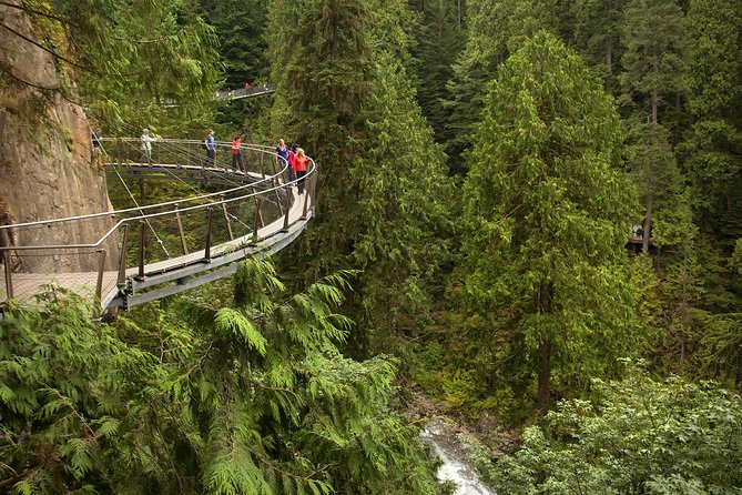 North Shore Day Trip From Vancouver: Capilano Suspension Bridge & Grouse Mtn - Traveler Experiences and Reviews