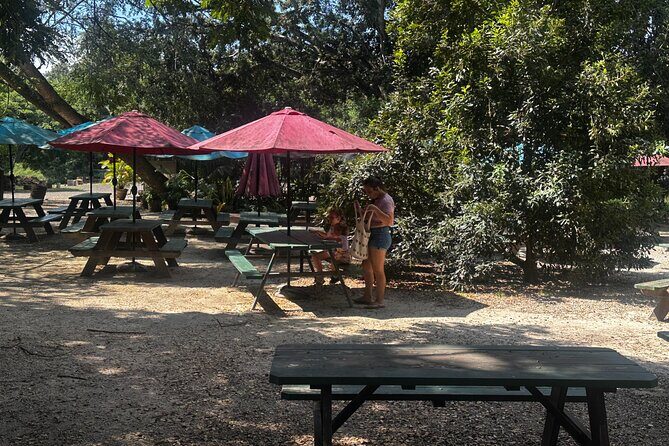 North Shore Foodie Fun: Eat, Explore, Enjoy (Incl. Dole) - Dole Pineapple Farm Tour and Processing Plant