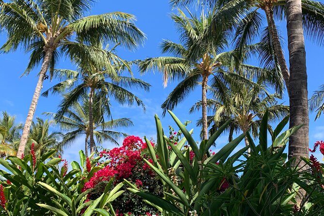 North Shore Highlight Tour - Key Points